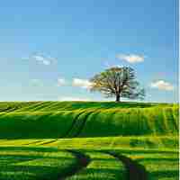 python用​哪﻿个‍软‌件﻿